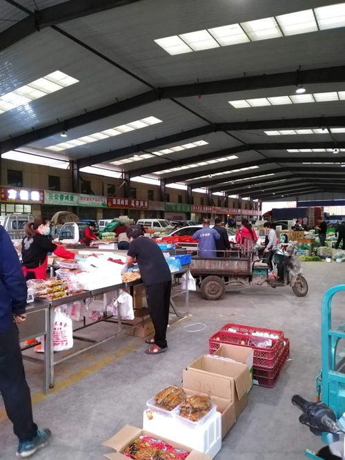 中貿農產品綜合批發市場 從基地到市場，蔬菜區一站式采購與每日參考價解析